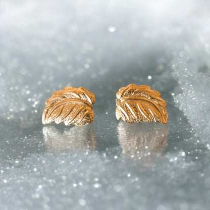 Regal Winter #4